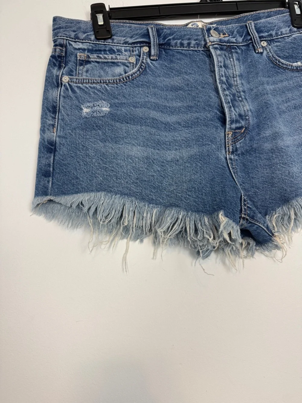 Free People Loving Good Vibrations High-Rise Distressed Shorts. Size 31. NWT.
